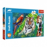 Puzzle Erstaunliche Tiere 300 Teile 60 × 40 cm