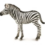 Sammelfigur Zebrababys von CollectA
