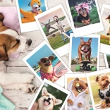 Puzzle 300 Teile - Urlaubsfotos