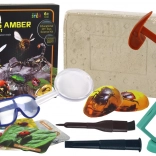 Archäologische Ausgrabungsset Insekten im Bernstein