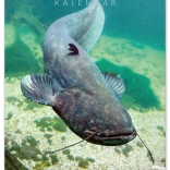 Wandkalender Angeln 2026