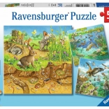 Puzzle Tiere in Ihren Zuhause 3x49 Teile
