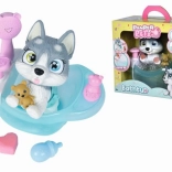 Hund Husky Pamper Petz in der Wanne