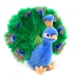 Plüsch-Pfau 25 cm