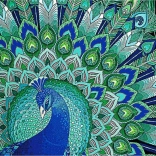 Diamantmalerei 7D Pfauenzauber 30 × 30 cm