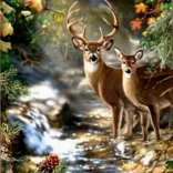 Diamant-Malerei Hirsch und Reh am Waldbach