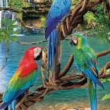 EUROGRAPHICS Puzzle Aras XL 250 Teile