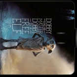 Picknickdecke Harry Potter Dobby