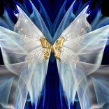 Diamantmalerei Goldener Schmetterling 30x40cm