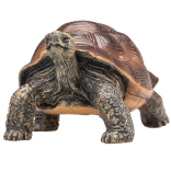 Mojo Figur – Riesenschildkröte – realistische Tierfigur