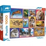 Puzzle Wilde Natur 1000 Teile