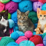 Puzzle 1000 Teile Katzen in Wollknäueln