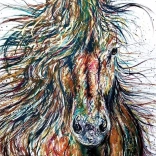 Puzzle ANATOLIAN Wind 500 Teile