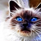 Diamantmalerei Katzenmagie 30 × 40 cm