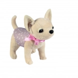 Chihuahua-Hündchen DIDI