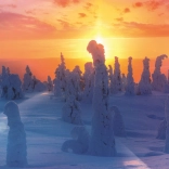 Puzzle Finnische Natur 1000 Teile