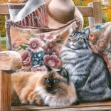 Puzzle CHERRY PAZZI Katzenrunde 1000 Teile