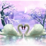 Diamantmalerei Schwanenliebe 30 × 40 cm