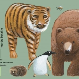 DJECO Kartenspiel Wer ist wer