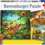 Ravensburger Puzzle Tiere 3×49 Teile
