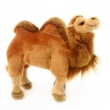 Plüschkamel