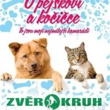 PC Über den Hund und die Katze