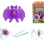 Entdecke: Fledermaus-Sezierung – Lernset mit Schleim