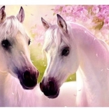 Diamond Painting – Verliebte Pferde 30 × 40 cm NORIMPEX