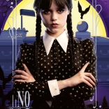 Puzzle 300 Teile Mittwoch