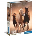 Puzzle Laufende Pferde 1000 Teile