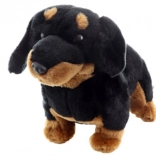 Plüsch-Dackel 30 cm Umweltfreundlich