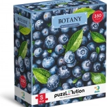 Puzzle DODO Botany: Wunderschöne Heidelbeeren 350 Teile