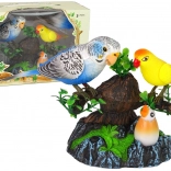 Singende bewegliche Papageien Bunter Baum