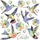 Bügelbilder Regenbogen-Kolibris – kleiner Bogen 15 × 21 cm