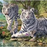 Puzzle Weiße Tiger 1000 Teile – Geheime Kollektion von Dino