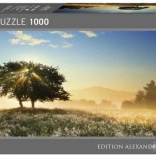 Puzzle 1000 Teile Lichteffekte