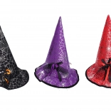 Zaubererhut mit Spinne