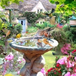 Puzzle Sommerliche Vogelwelt 1000 Teile