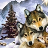 Norimpex Diamantmalerei – Wolfsfamilie 30 × 40 cm