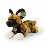 Plüsch Afrikanischer Wildhund 28 cm RAPPA eco-friendly