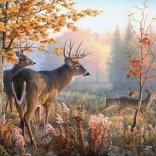 Diamantmalerei Hirsche im Morgennebel 30x40 cm