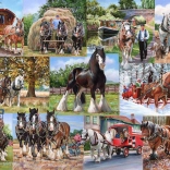 Puzzle 1000 Teile Tahouni von House of Puzzles