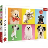 Puzzle Hunde Collage 500 Teile - Trefl