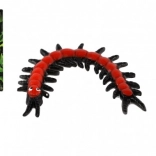 Aufziehbare Hundertfüßer, die an Glas hochkrabbelt