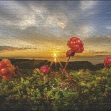 Puzzle Heye Brombeeren Lakka 1000 Teile