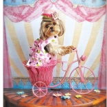 Puzzle Snílker Reisender 500 Teile