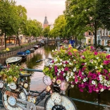 Ravensburger Puzzle Blumen aus Amsterdam 1000 Teile