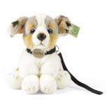 Plüschhund Australian Shepherd mit Leine 28 cm, umweltfreundlich