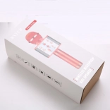 kabelloses Karaoke-Mikrofon mit Aufnahme und USB/microSD-Unterstützung