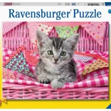 Puzzle 100 XXL Teile Niedliches Kätzchen